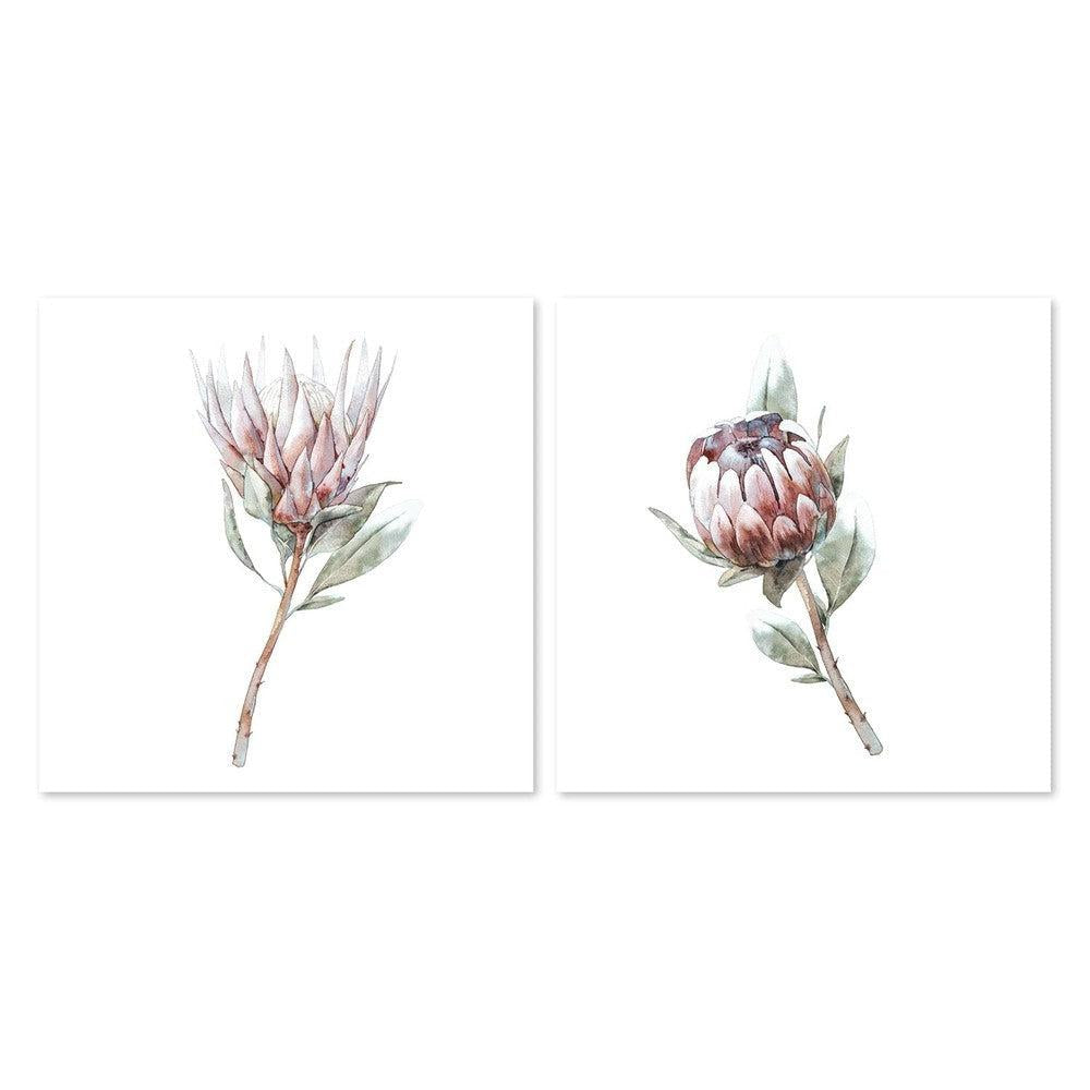 Store Protea Art Print, Protea Wall Art, King Protea Flower, Protea Prints set of 2, Protea Poster Watercolor Painting