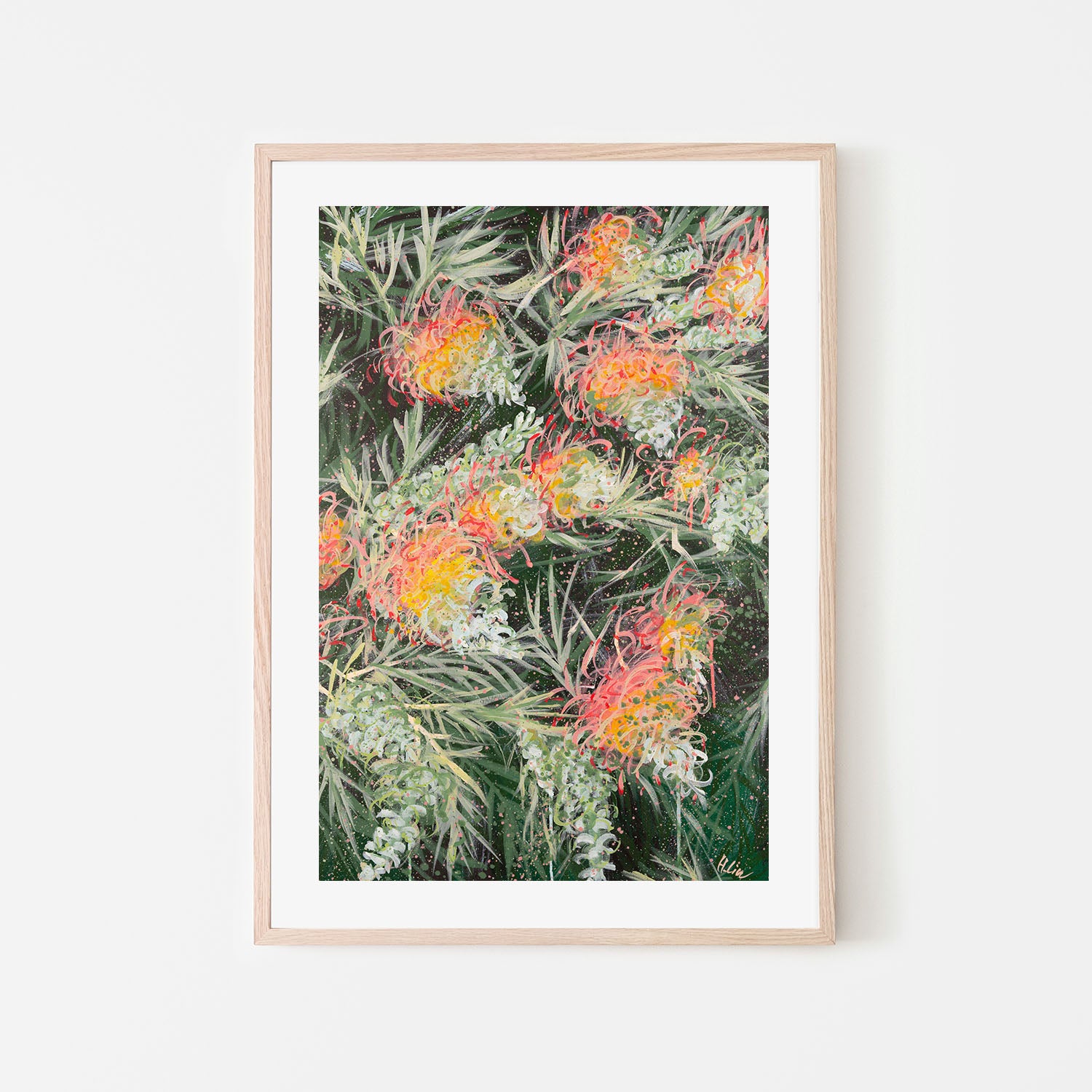 Grevillea Peaches and Cream , By Hsin Lin