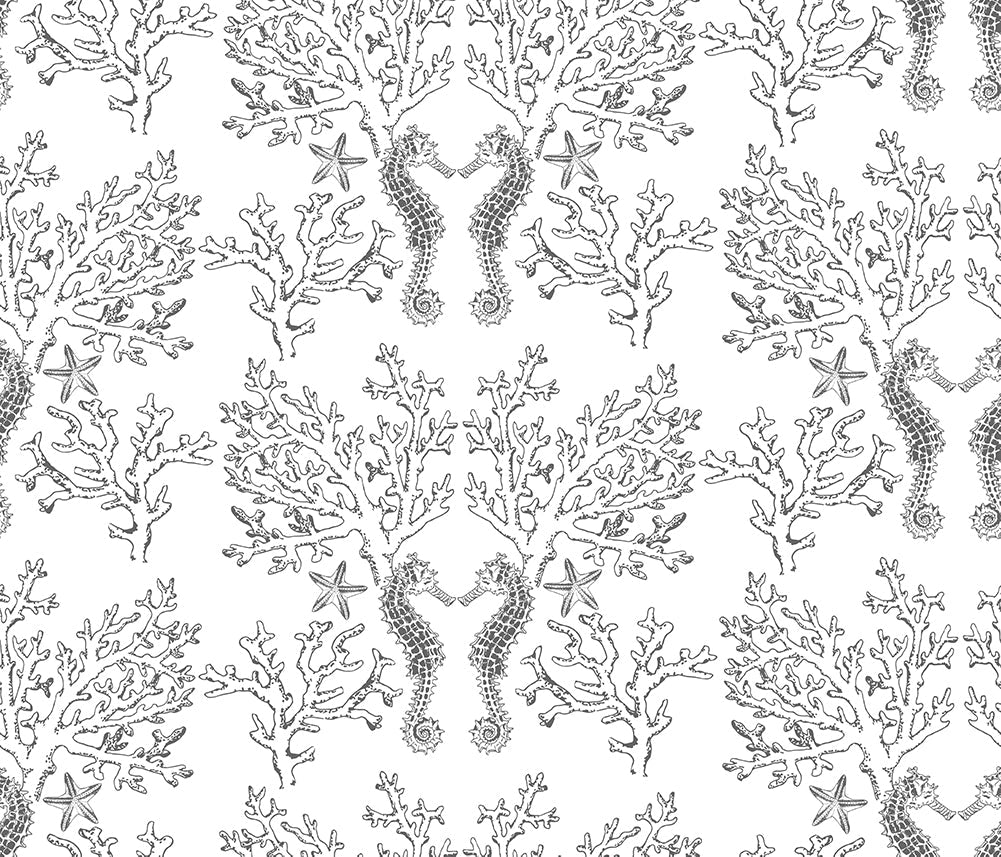 Seahorse, Style B, Wallpaper