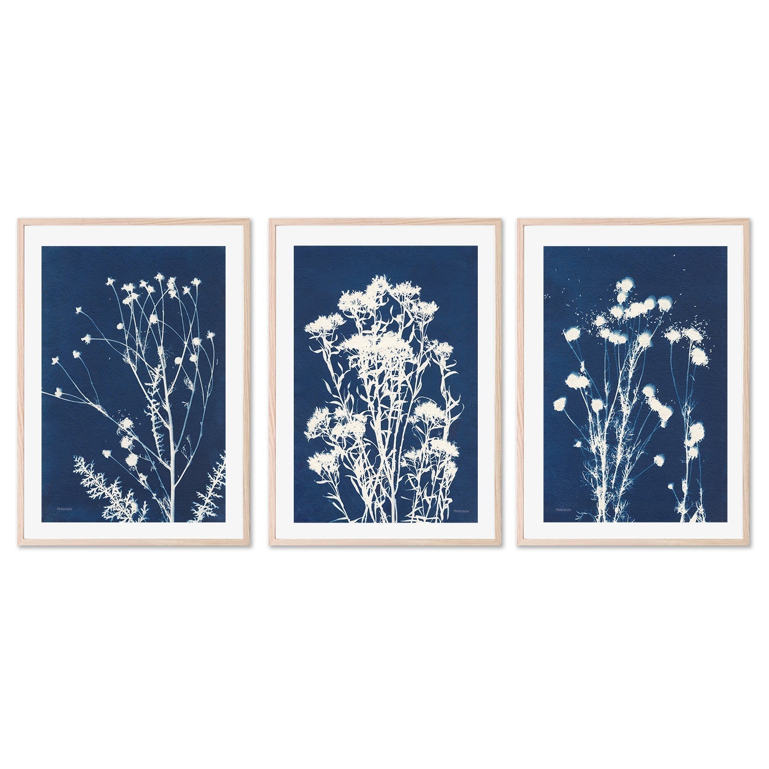 wall-art-print-canvas-poster-framed-Alpine Flowers, Style B, D & F, Set Of 3 , By Kathy Ferguson-GIOIA-WALL-ART