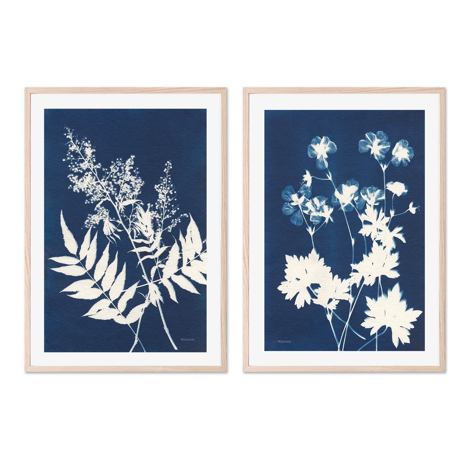 wall-art-print-canvas-poster-framed-Alpine Flowers, Style C & E, Set Of 2 , By Kathy Ferguson-GIOIA-WALL-ART