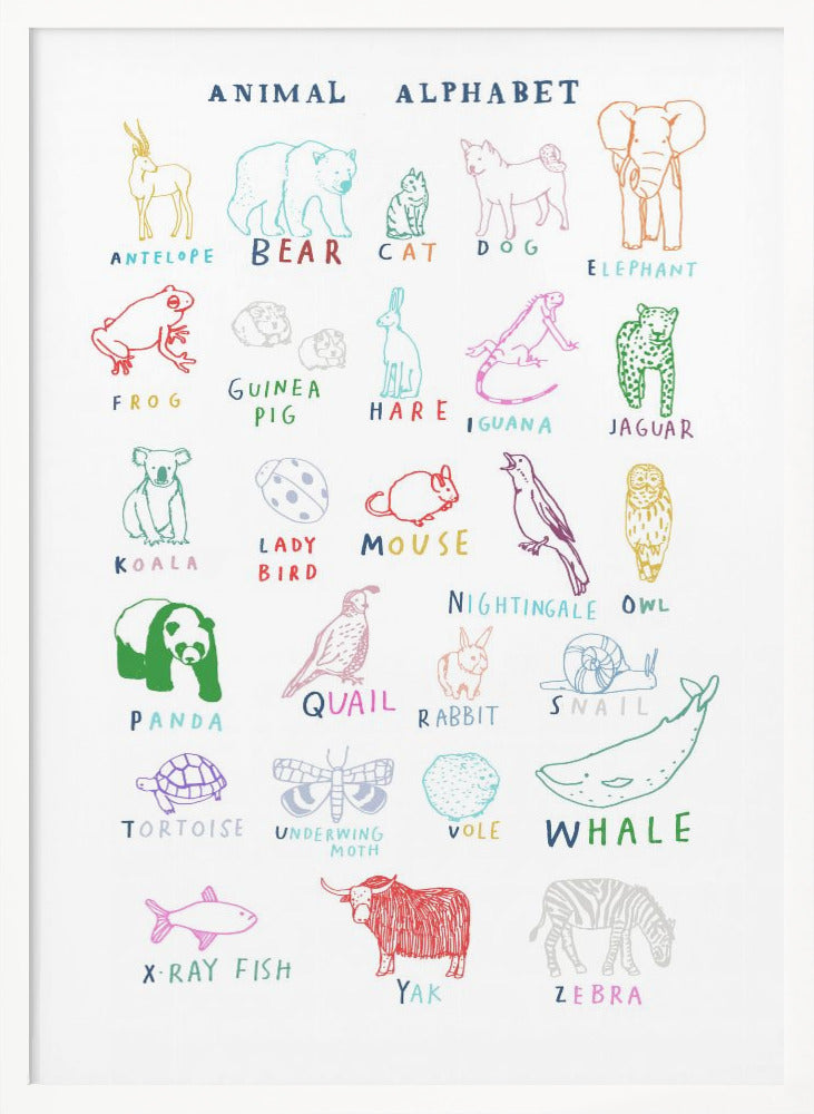 wall-art-print-canvas-poster-framed-Animal Alphabet , By Hanna Melin-5