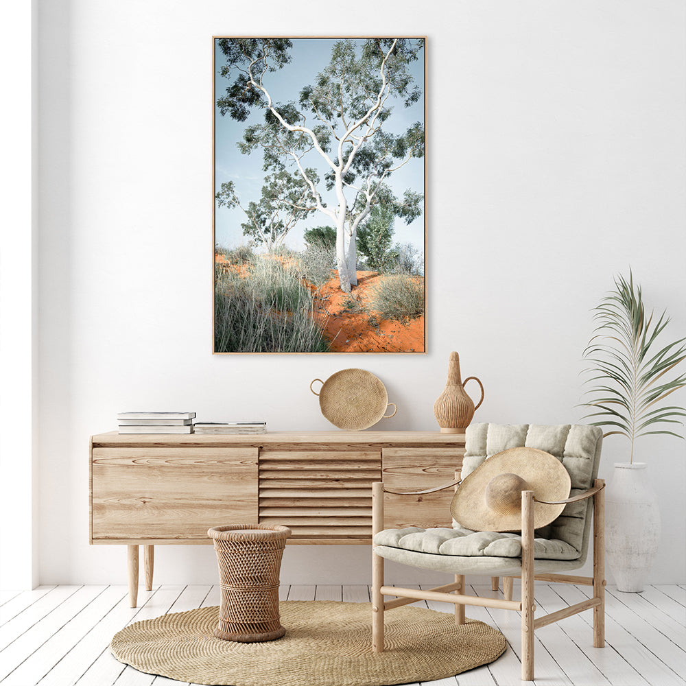 Australian Gum Tree |Wall Art Print Framed Canvas Poster – Gioia Wall Art