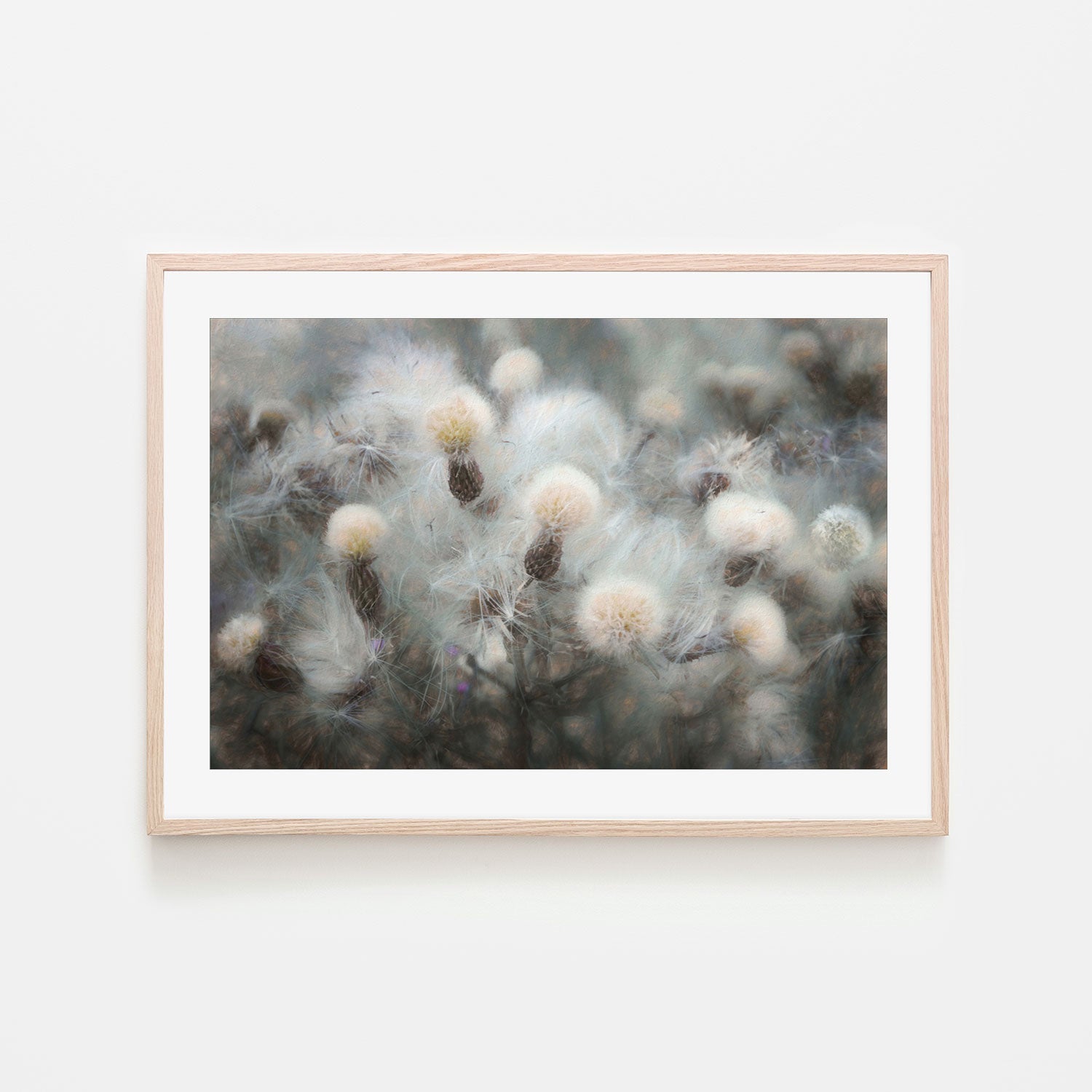 wall-art-print-canvas-poster-framed-Blossoming Plants , By Gilbert Claes-GIOIA-WALL-ART