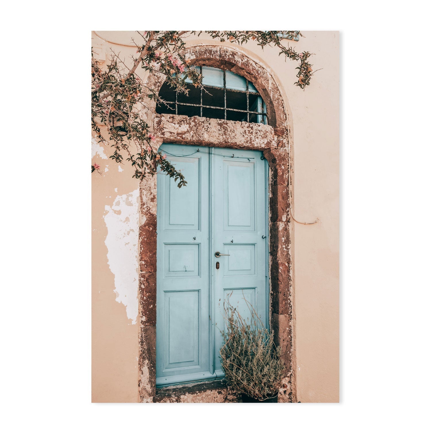 Bougainvillea flower and blue door in Santorini, Style C-Gioia-Prints-Framed-Canvas-Poster-GIOIA-WALL-ART