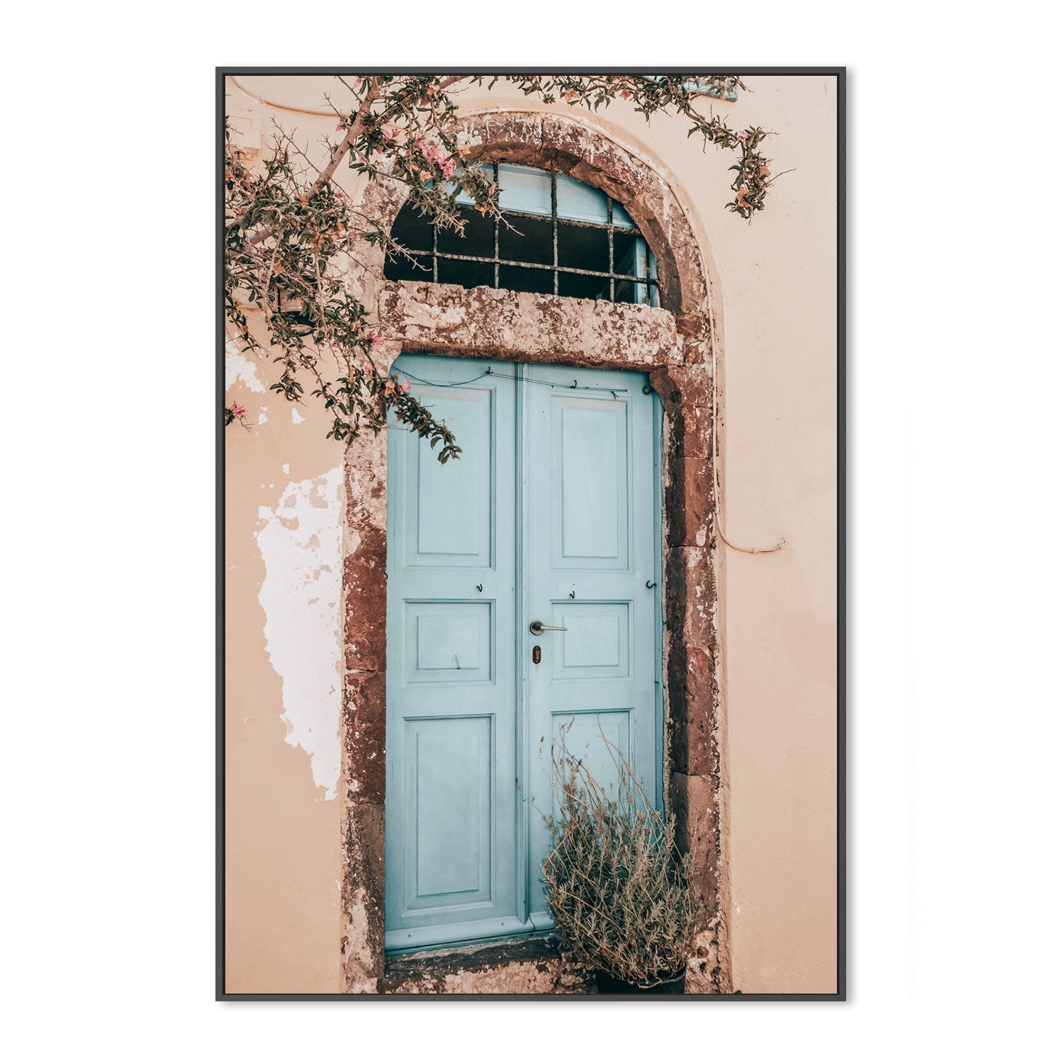 Bougainvillea flower and blue door in Santorini, Style C-Gioia-Prints-Framed-Canvas-Poster-GIOIA-WALL-ART