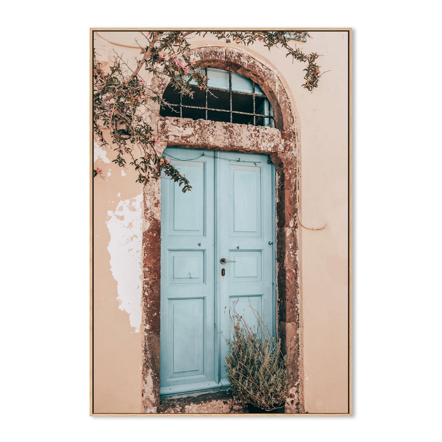 Bougainvillea flower and blue door in Santorini, Style C-Gioia-Prints-Framed-Canvas-Poster-GIOIA-WALL-ART