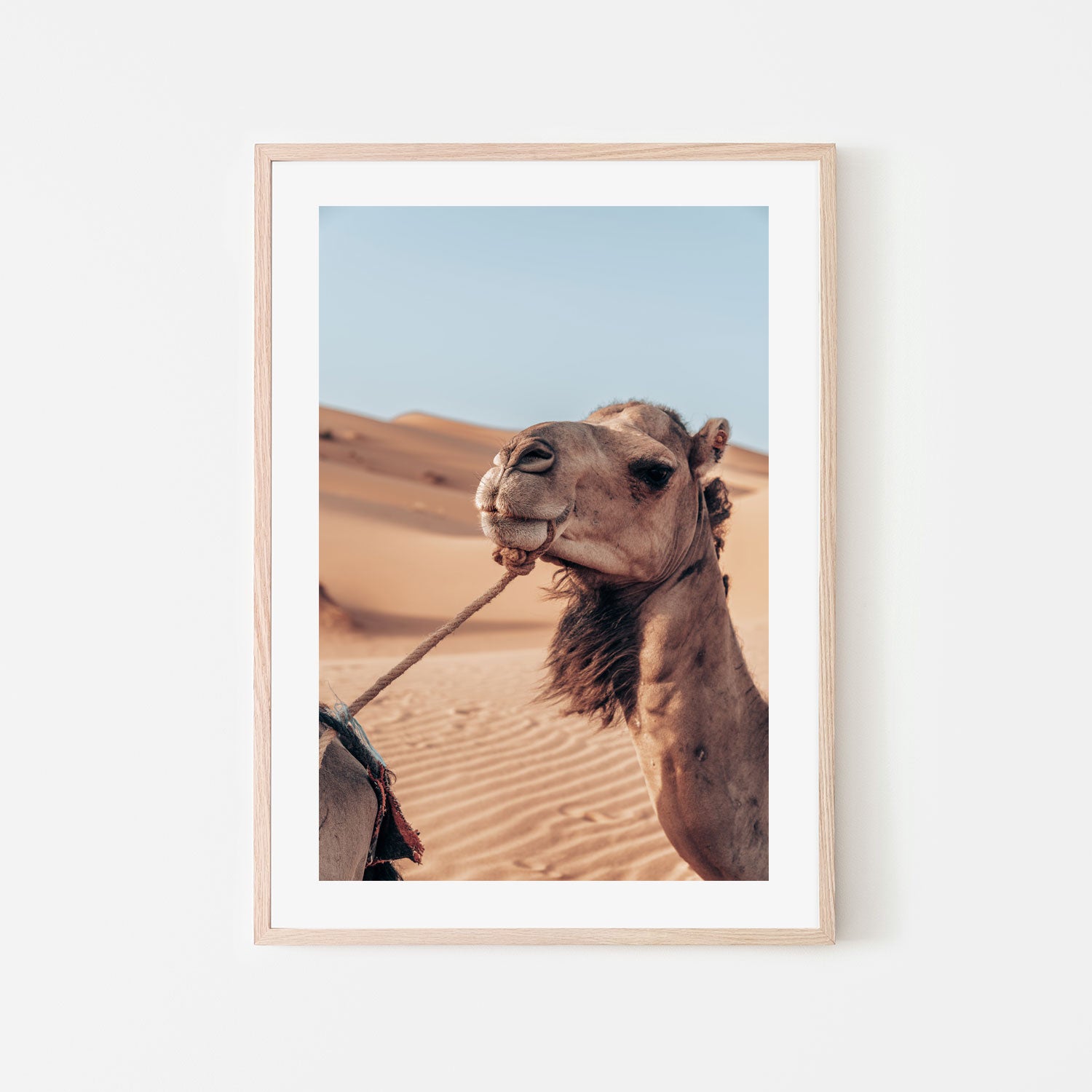 wall-art-print-canvas-poster-framed-Camel's Grace , By Josh Silver-6