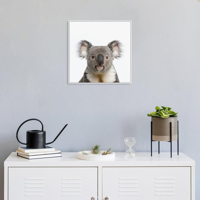https://www.gioia.com.au/cdn/shop/files/wall-art-print-canvas-poster-framed-cute-koala-2_800x.jpg?v=1697506230