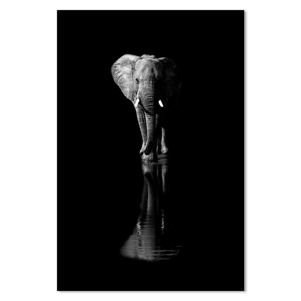 wall-art-print-canvas-poster-framed-Elephant, By Jie Fischer-by-Plus X Studio-Gioia Wall Art