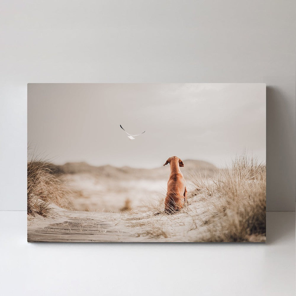 wall-art-print-canvas-poster-framed-Freedom (Ii), By Heike Willers-by-Plus X Studio-Gioia Wall Art