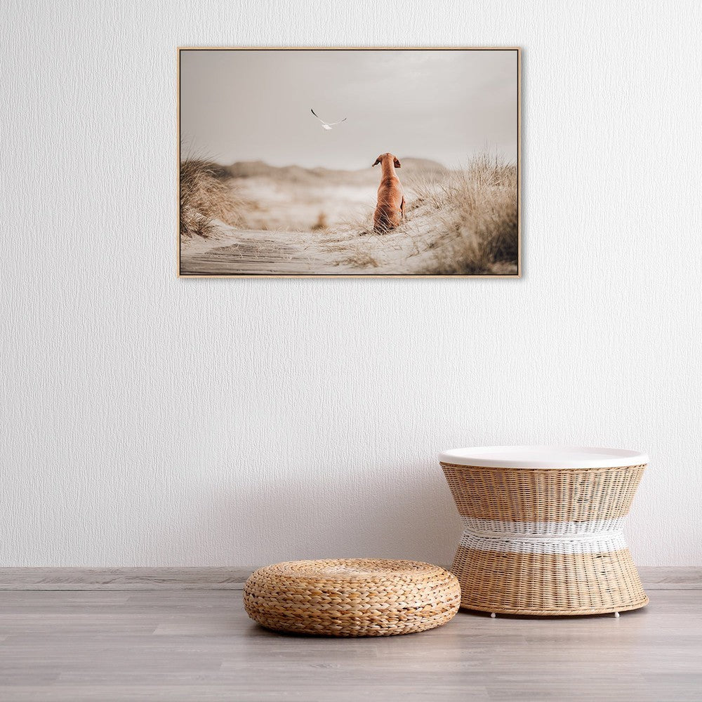 wall-art-print-canvas-poster-framed-Freedom (Ii), By Heike Willers-by-Plus X Studio-Gioia Wall Art