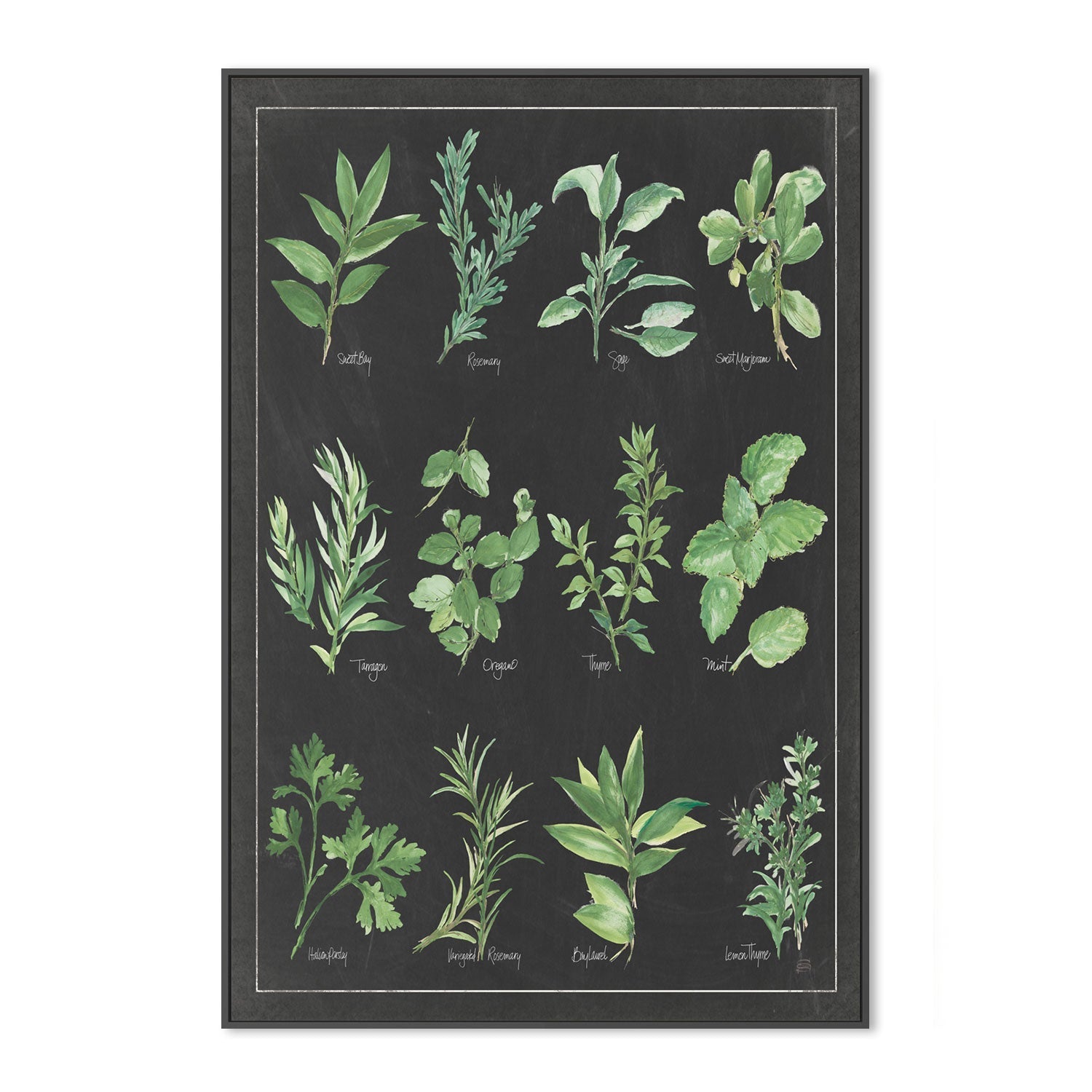 wall-art-print-canvas-poster-framed-Herb Chart , By Chris Paschke-GIOIA-WALL-ART