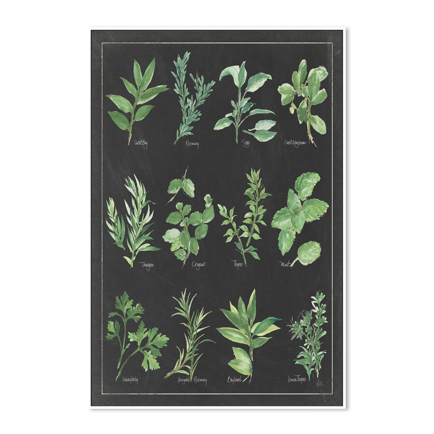 wall-art-print-canvas-poster-framed-Herb Chart , By Chris Paschke-GIOIA-WALL-ART