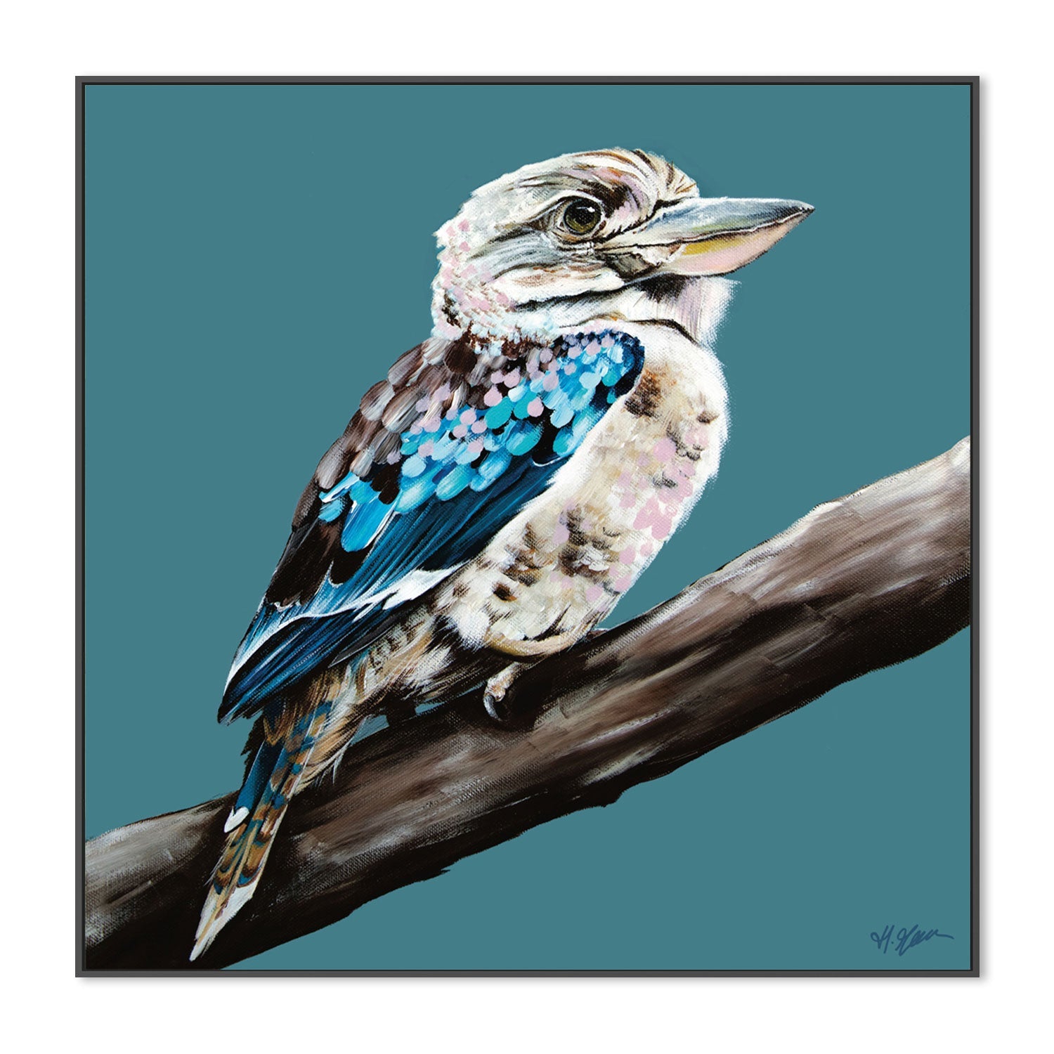 Kookaburra Blue, Style B , By Heylie Morris