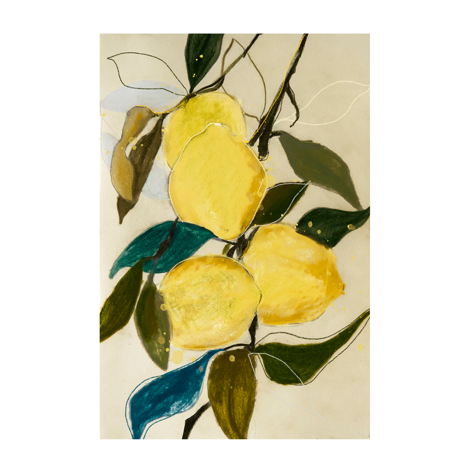 wall-art-print-canvas-poster-framed-Lemon Study, Style A , By Leigh Viner-1