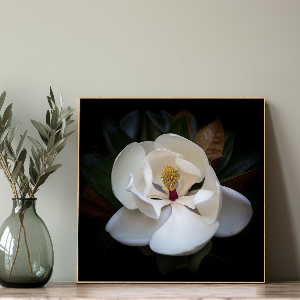 Magnolia Grandi Flora , By Tricia Brennan |Wall Art Print Framed ...