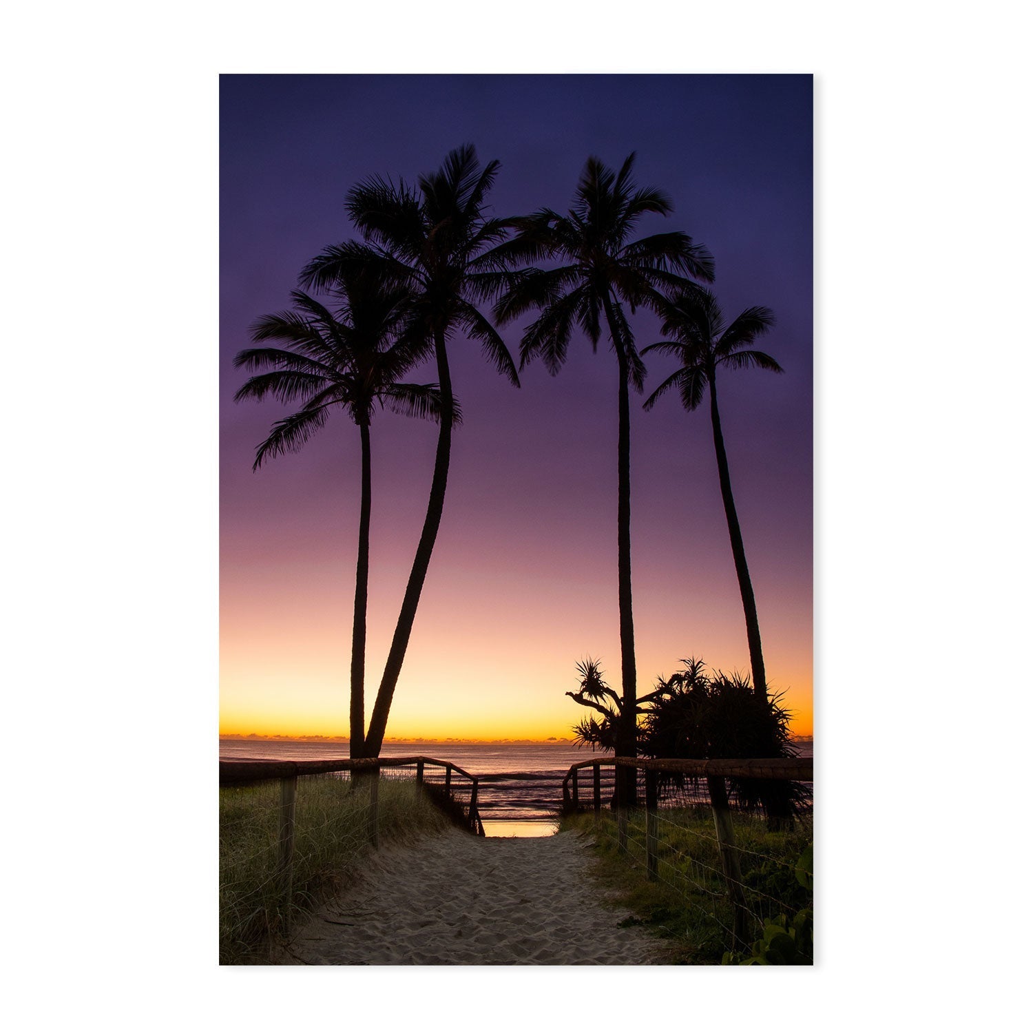 wall-art-print-canvas-poster-framed-Main Beach Palms, Gold Coast, Queensland , By Earth Sea & Me , By Earth Sea & Me-GIOIA-WALL-ART