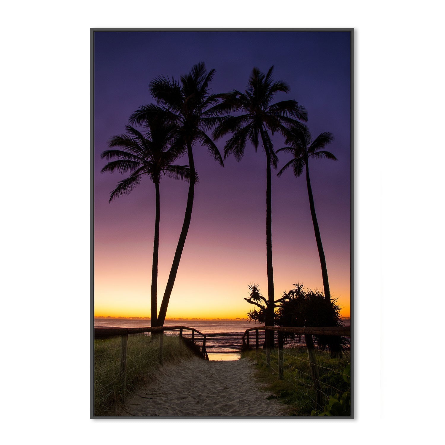 wall-art-print-canvas-poster-framed-Main Beach Palms, Gold Coast, Queensland , By Earth Sea & Me , By Earth Sea & Me-GIOIA-WALL-ART