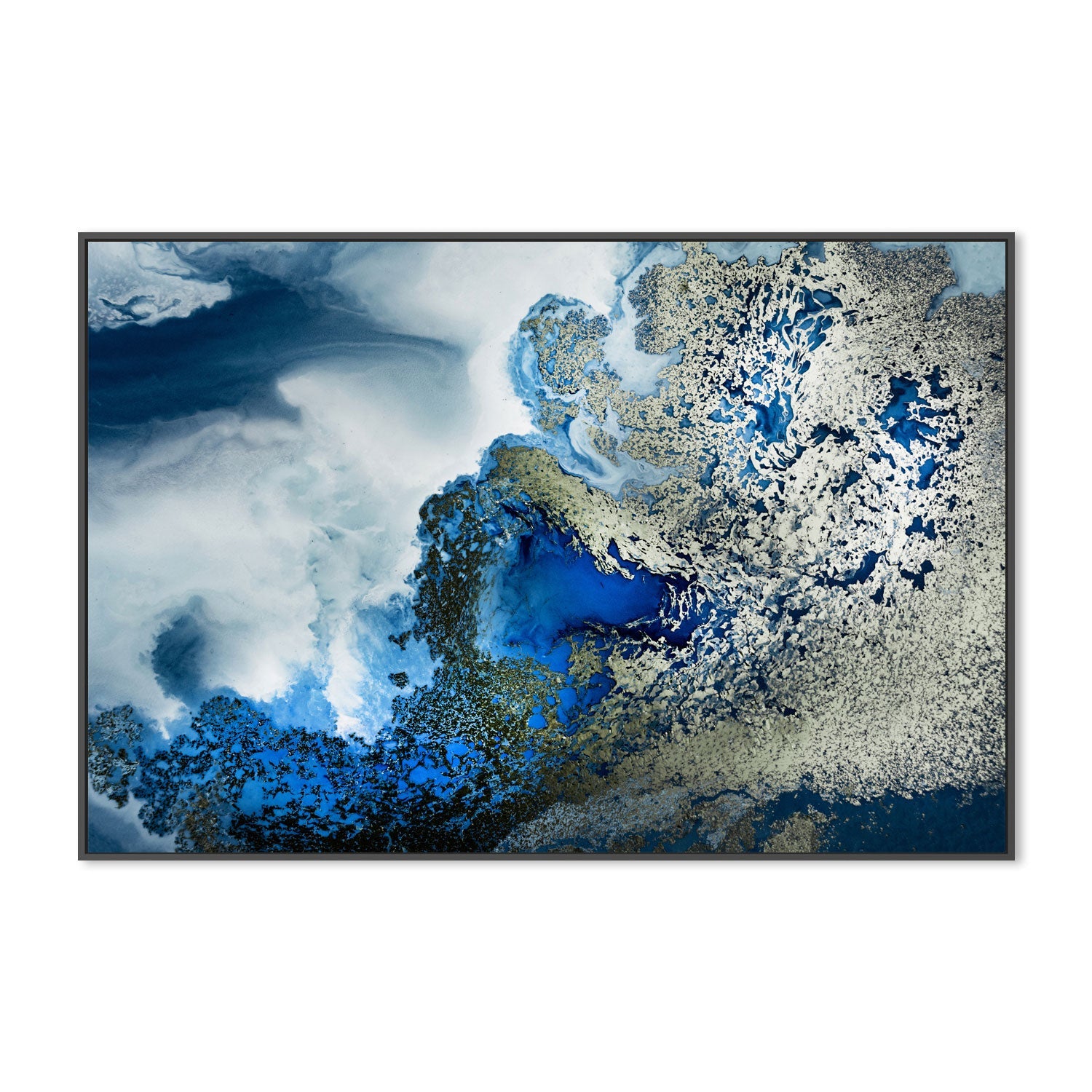 wall-art-print-canvas-poster-framed-Midnight Reef , By Petra Meikle-3