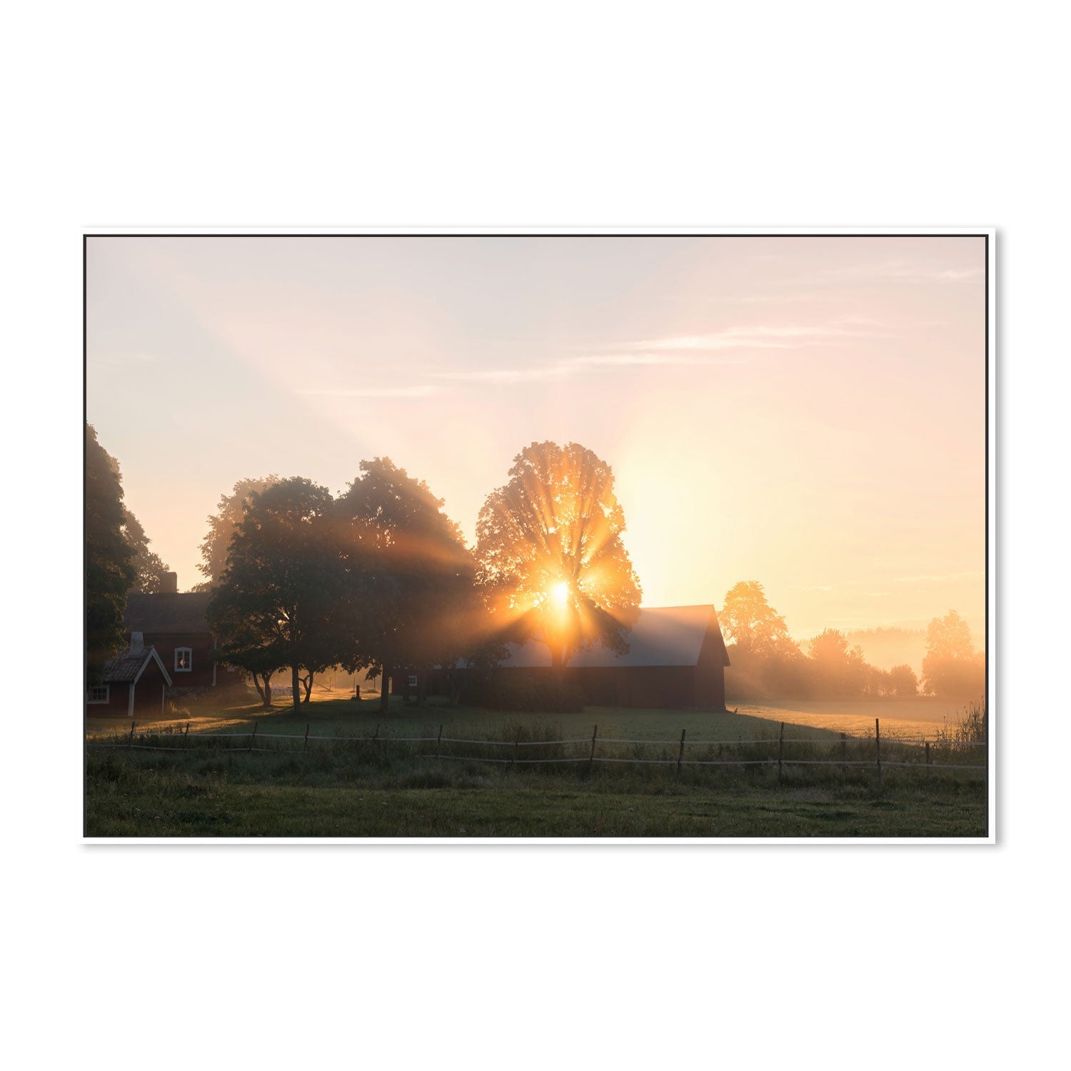 wall-art-print-canvas-poster-framed-Morning Sunrise , By Christian Lindsten-GIOIA-WALL-ART