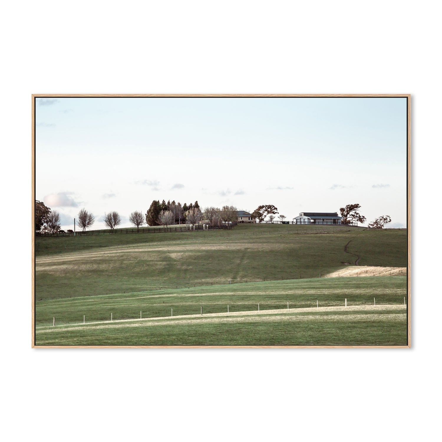 wall-art-print-canvas-poster-framed-Moss Vale Hill, Style A , By Tricia Brennan-GIOIA-WALL-ART