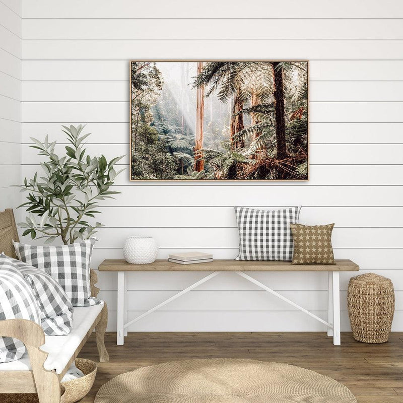 Native Australian Rainforest - Eucalyptus Trees And Ferns |Wall Art