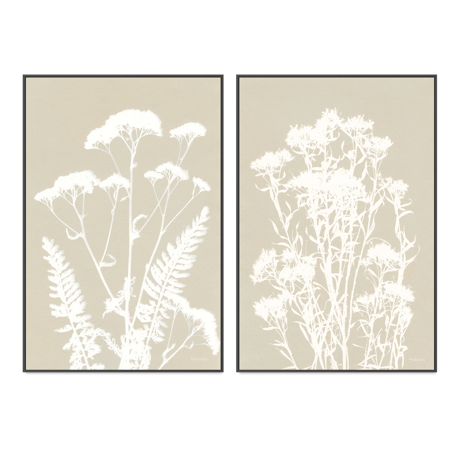 wall-art-print-canvas-poster-framed-Neutral Alpine Flowers, Style A & B, Set Of 2 , By Kathy Ferguson-GIOIA-WALL-ART