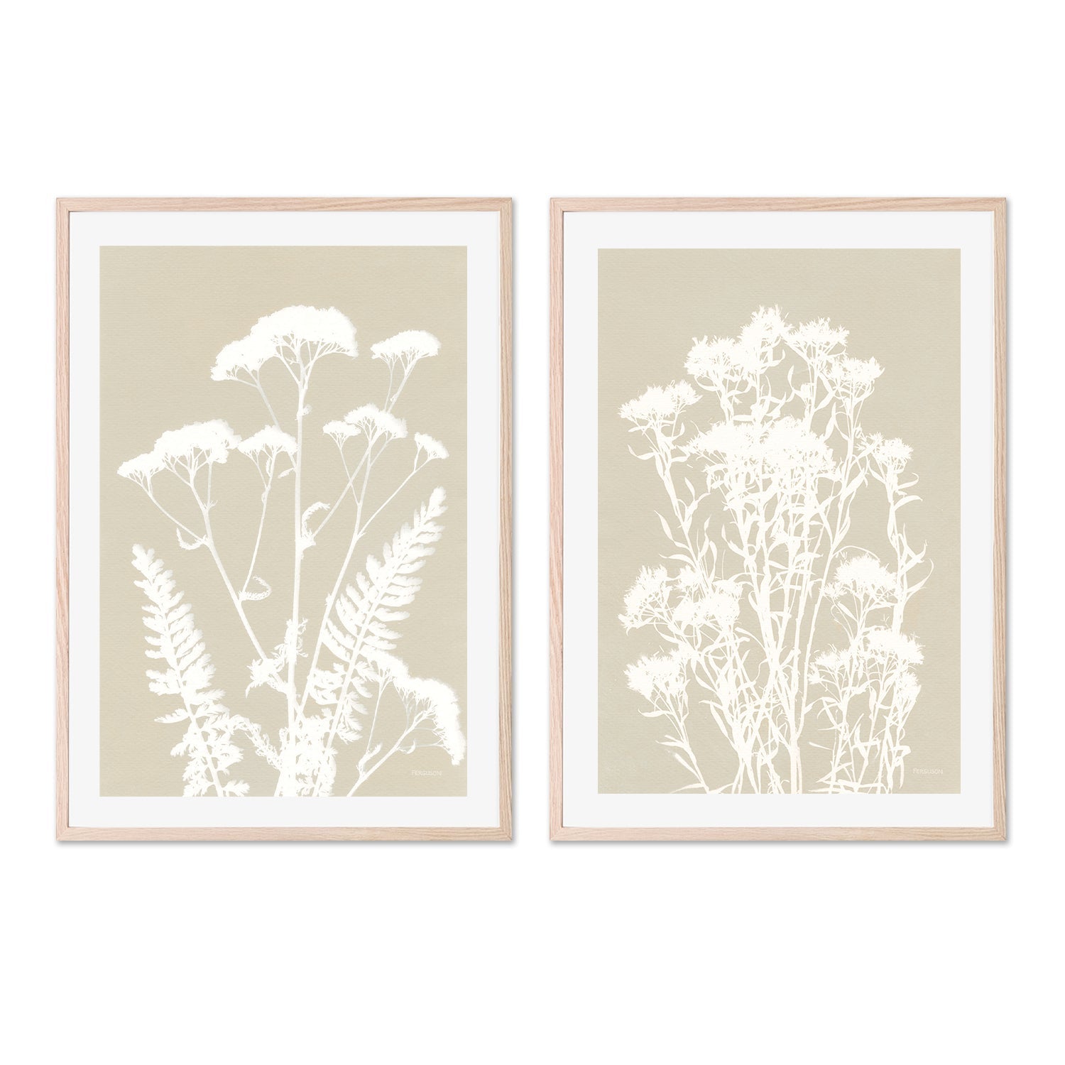 wall-art-print-canvas-poster-framed-Neutral Alpine Flowers, Style A & B, Set Of 2 , By Kathy Ferguson-GIOIA-WALL-ART