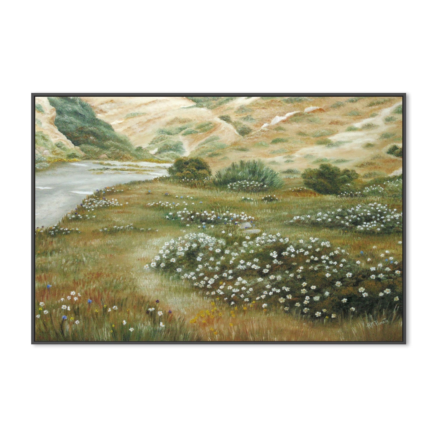 wall-art-print-canvas-poster-framed-Path Of Flowers , By Angeles M. Pomata-3