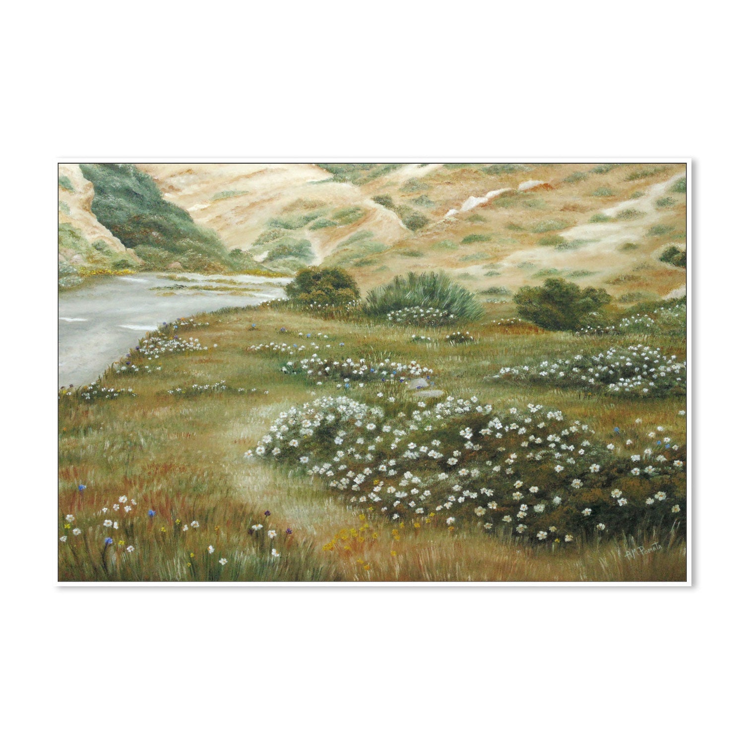 wall-art-print-canvas-poster-framed-Path Of Flowers , By Angeles M. Pomata-5