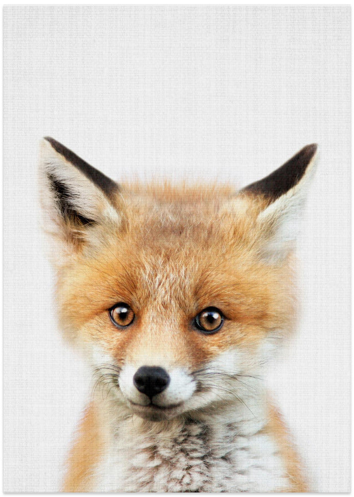 wall-art-print-canvas-poster-framed-Peekaboo Baby Fox , By Lola Peacock-1