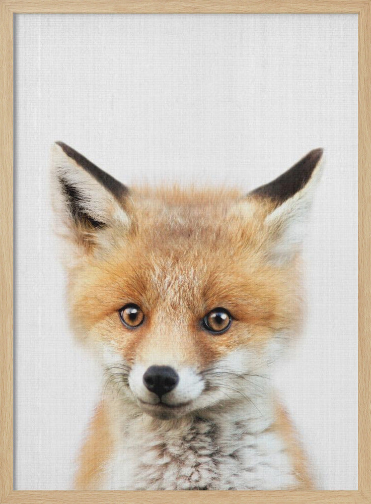 wall-art-print-canvas-poster-framed-Peekaboo Baby Fox , By Lola Peacock-3