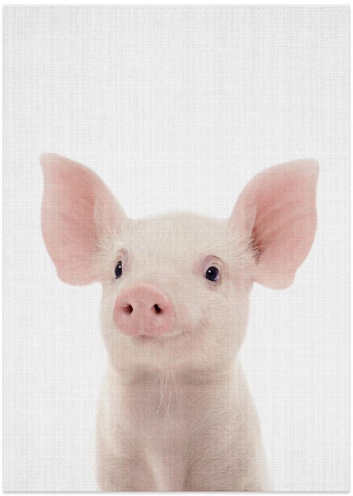 wall-art-print-canvas-poster-framed-Peekaboo Baby Pig , By Lola Peacock-1