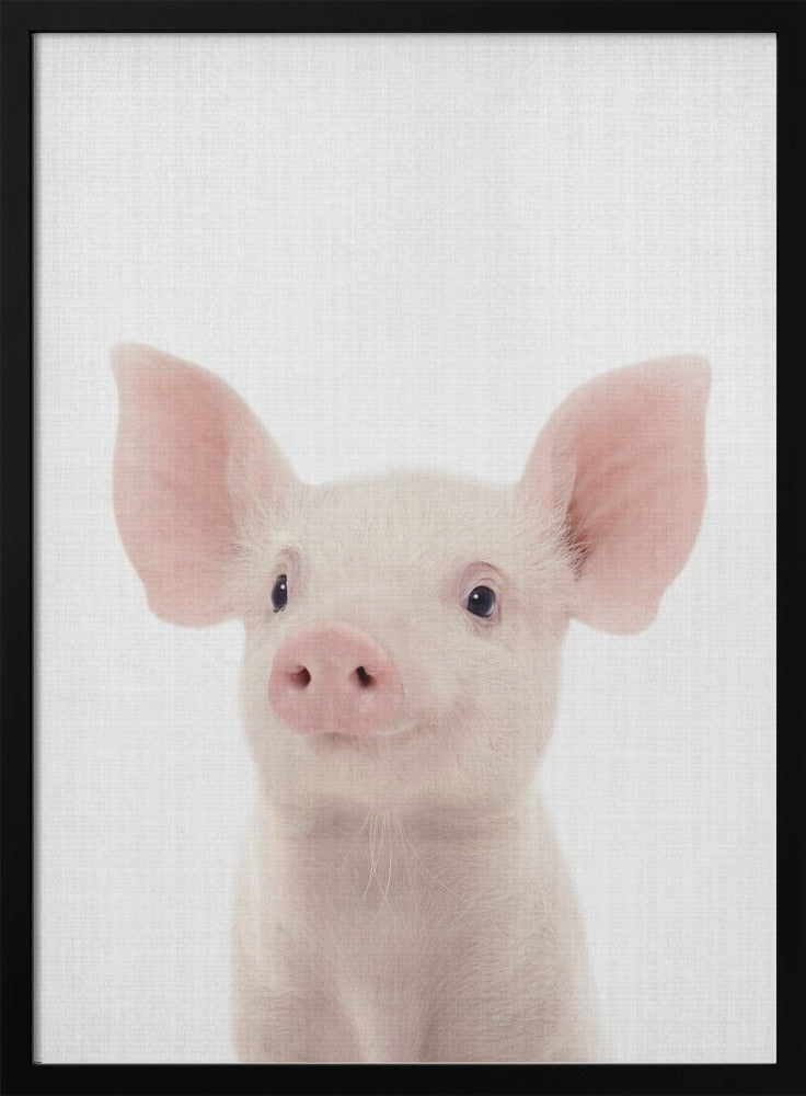 wall-art-print-canvas-poster-framed-Peekaboo Baby Pig , By Lola Peacock-3