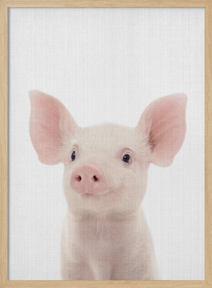 wall-art-print-canvas-poster-framed-Peekaboo Baby Pig , By Lola Peacock-4