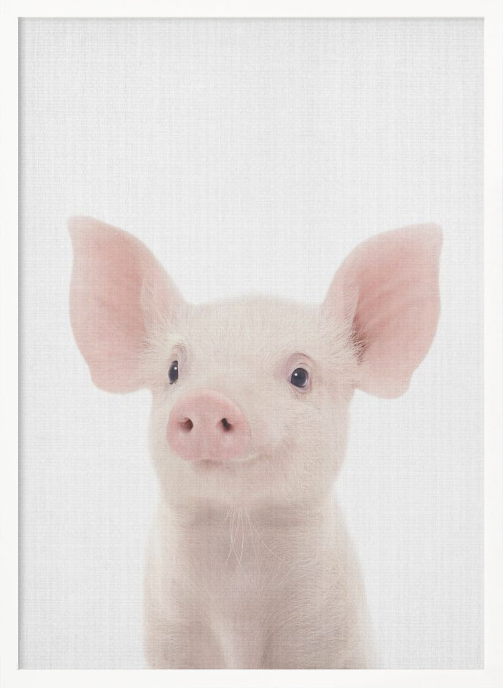 wall-art-print-canvas-poster-framed-Peekaboo Baby Pig , By Lola Peacock-5