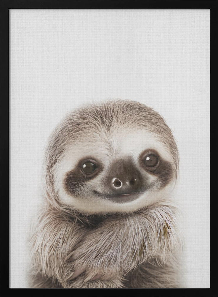 wall-art-print-canvas-poster-framed-Peekaboo Baby Sloth , By Lola Peacock-3