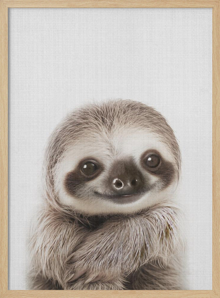 wall-art-print-canvas-poster-framed-Peekaboo Baby Sloth , By Lola Peacock-4