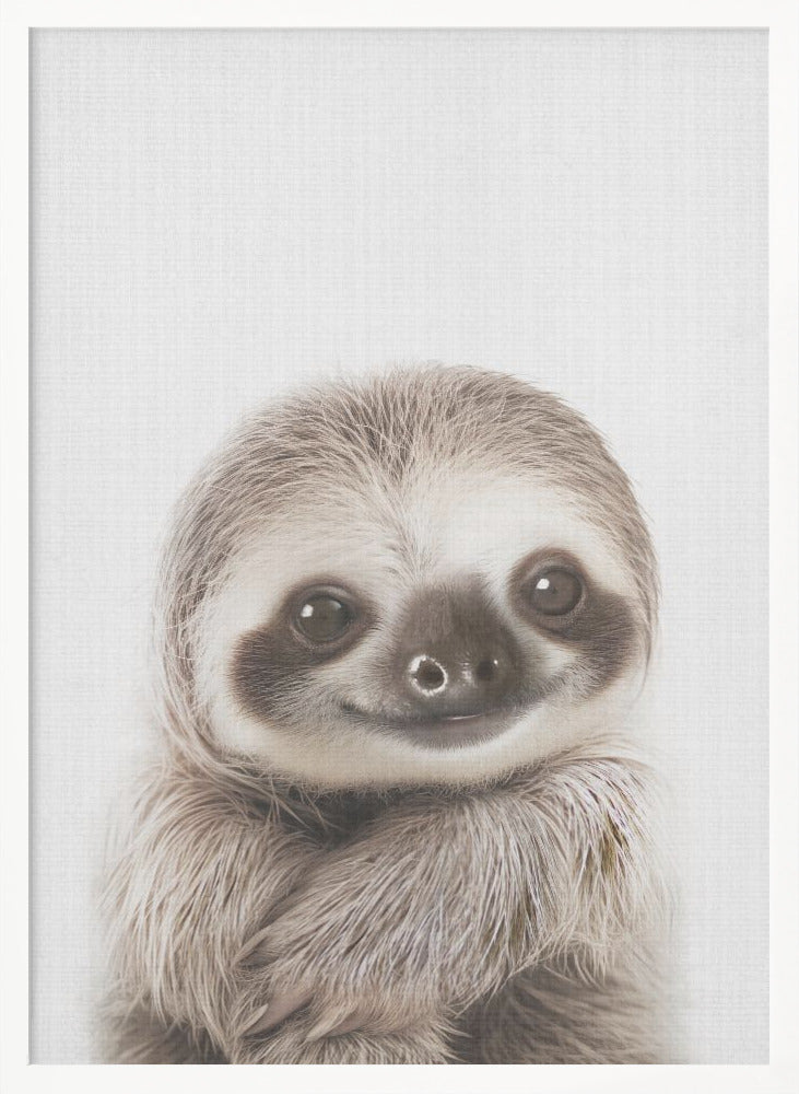 wall-art-print-canvas-poster-framed-Peekaboo Baby Sloth , By Lola Peacock-5