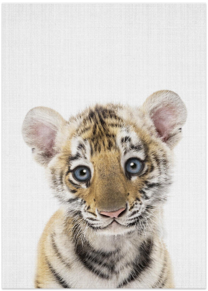 wall-art-print-canvas-poster-framed-Peekaboo Baby Tiger , By Lola Peacock-1