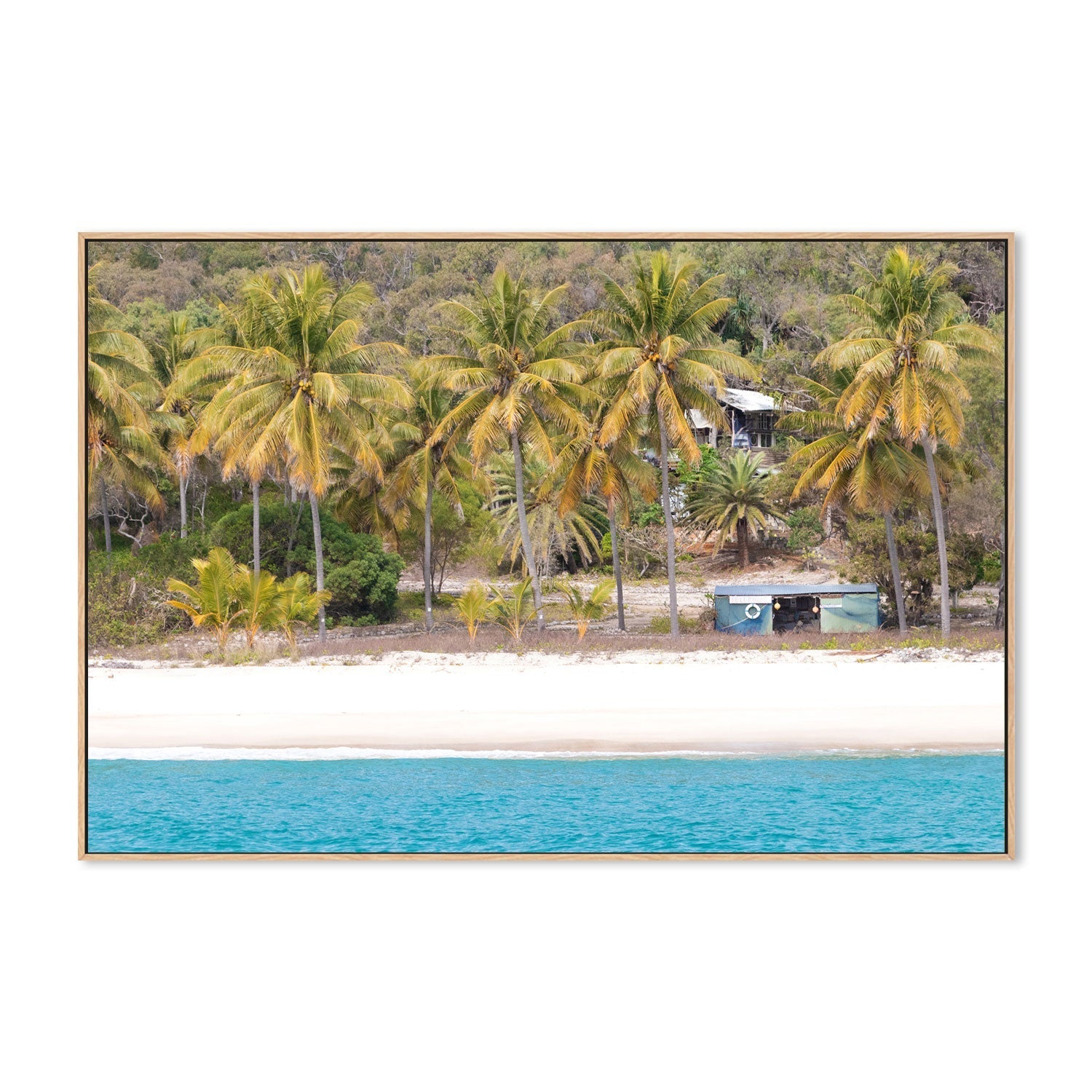 wall-art-print-canvas-poster-framed-Percy Palm, Middle Percy Island, Queensland , By Earth Sea & Me , By Earth Sea & Me-GIOIA-WALL-ART