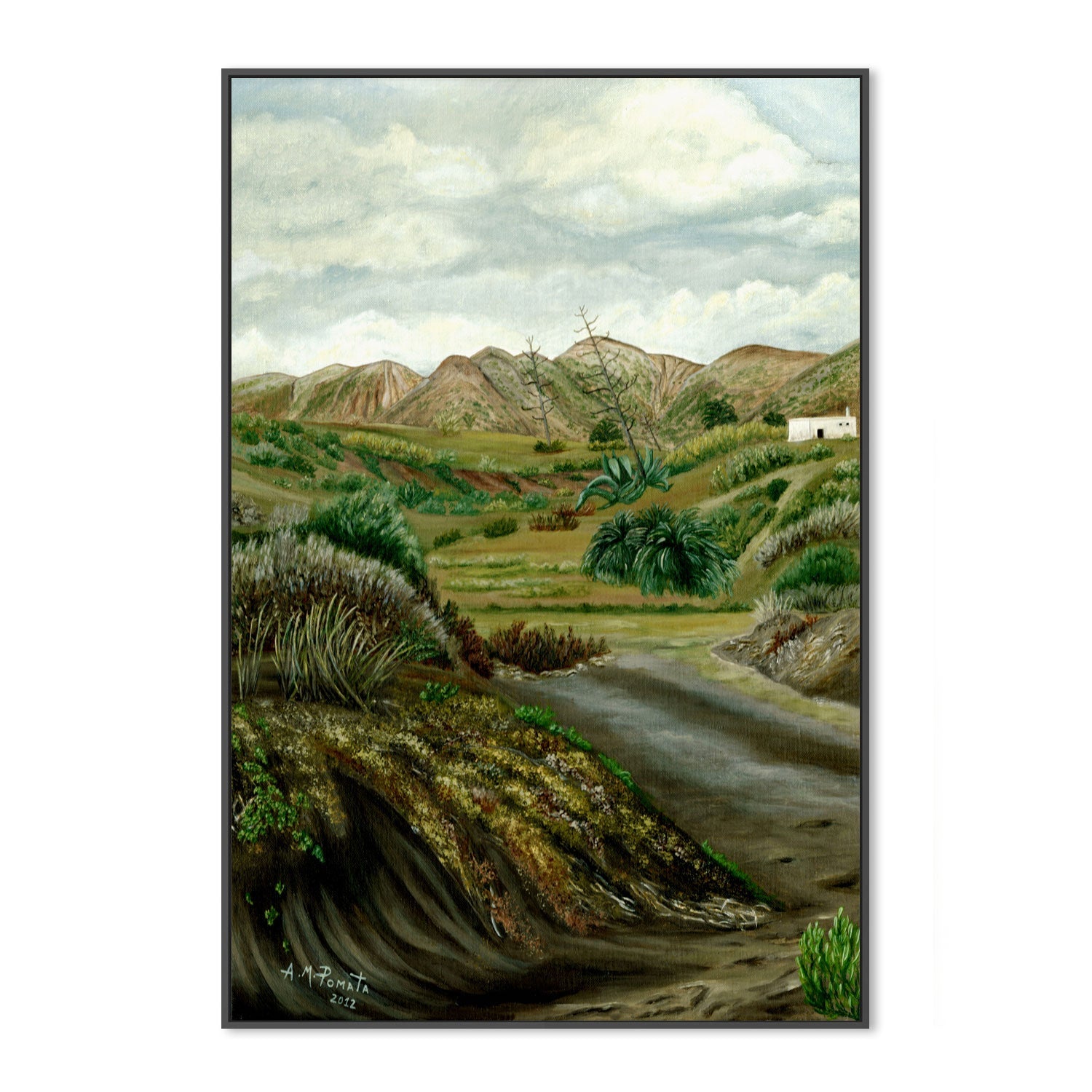 wall-art-print-canvas-poster-framed-Pitas' Path , By Angeles M. Pomata-3