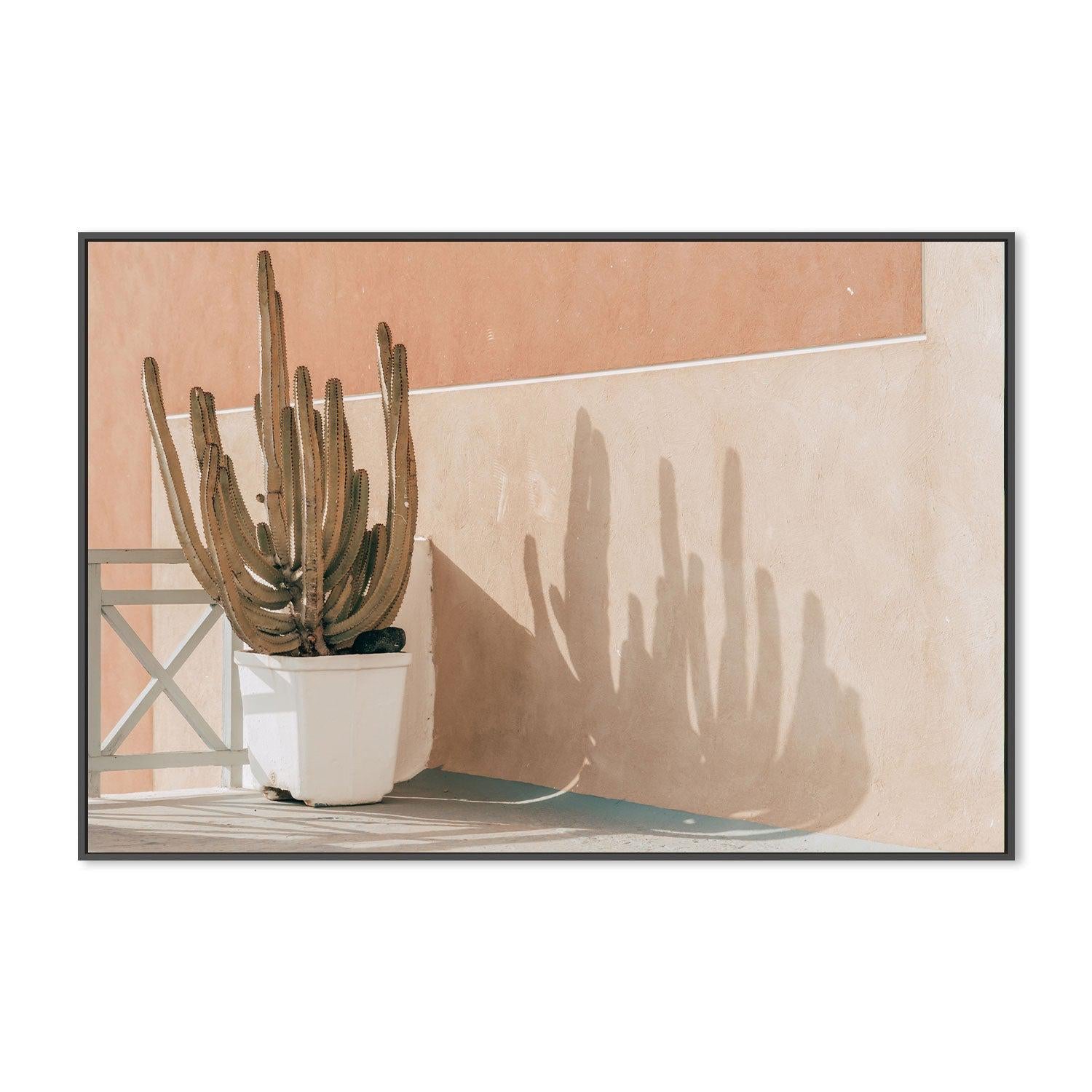 Potted cactus in Santorini-Gioia-Prints-Framed-Canvas-Poster-GIOIA-WALL-ART