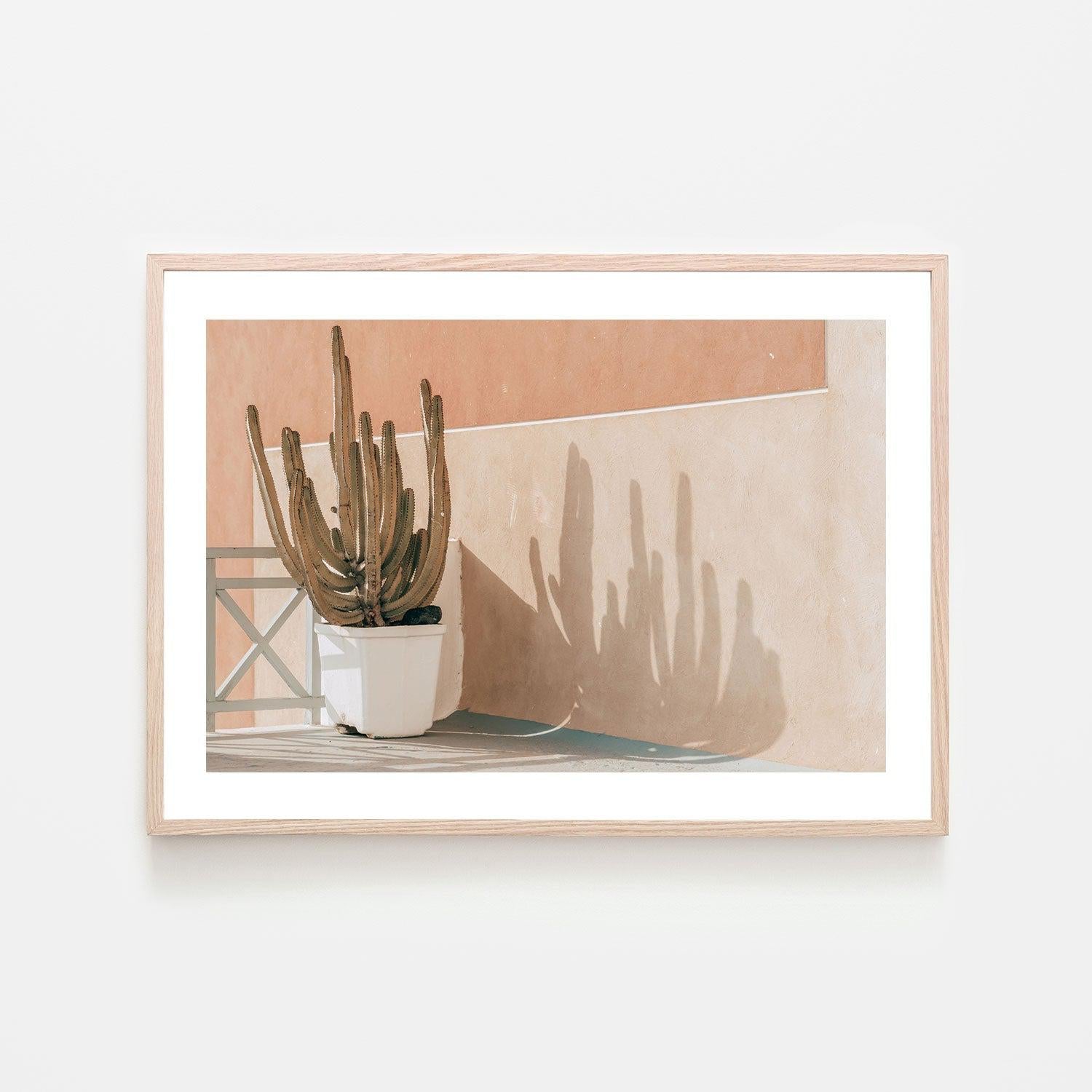 Potted cactus in Santorini-Gioia-Prints-Framed-Canvas-Poster-GIOIA-WALL-ART