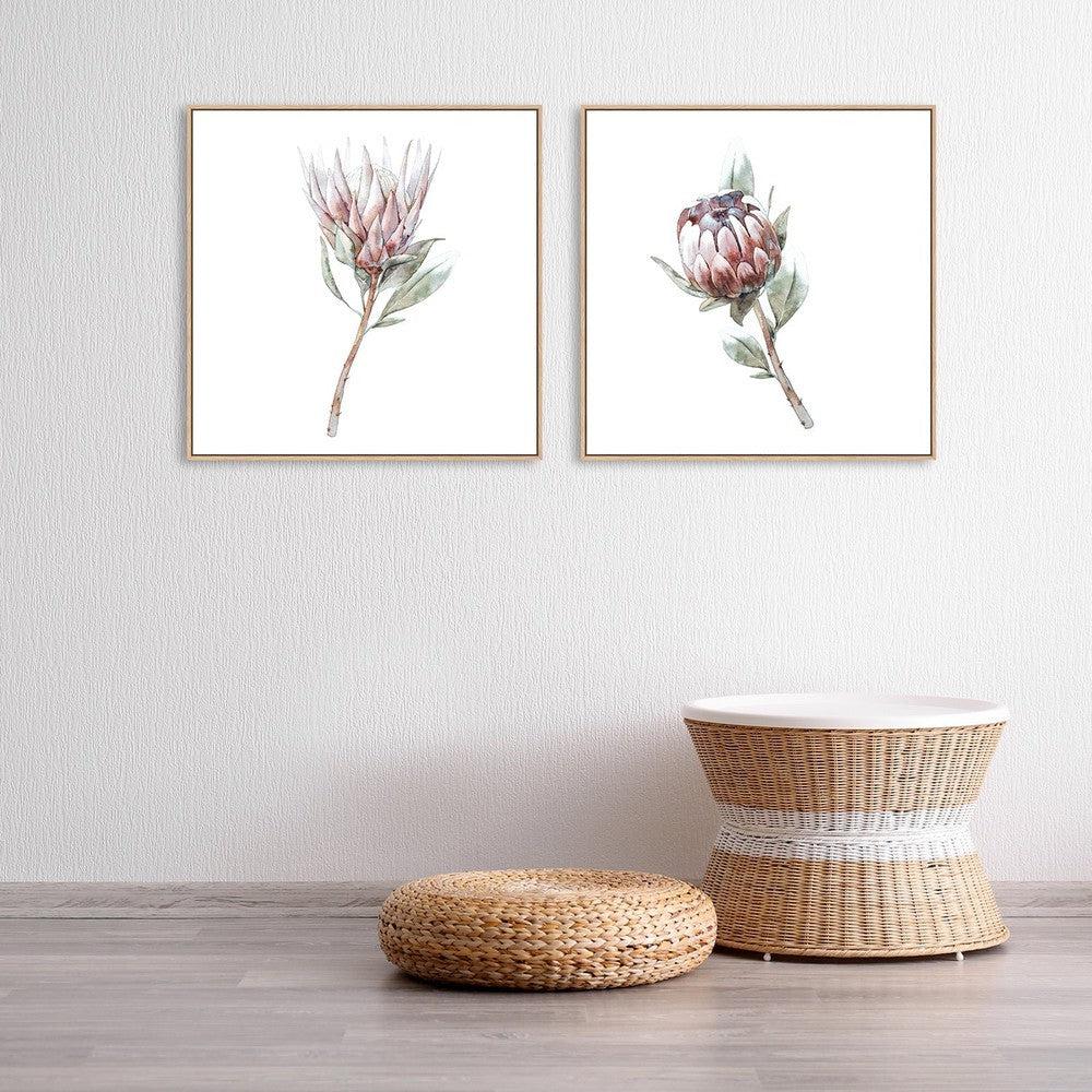 Protea Pair, Watercolour Painting Style, Set Of 2 |Wall Art Print ...