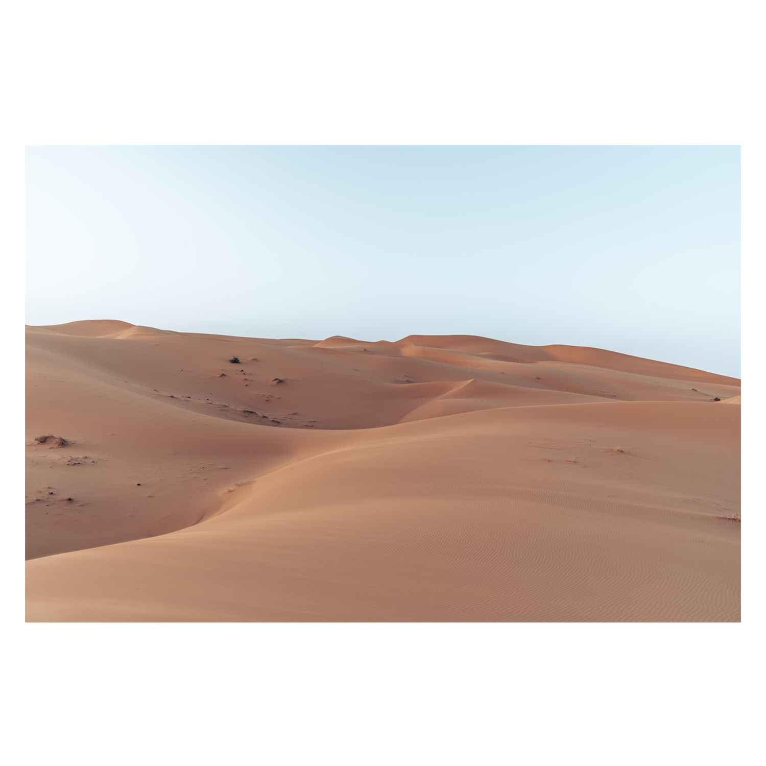 wall-art-print-canvas-poster-framed-Saharan Serenity , By Josh Silver-1