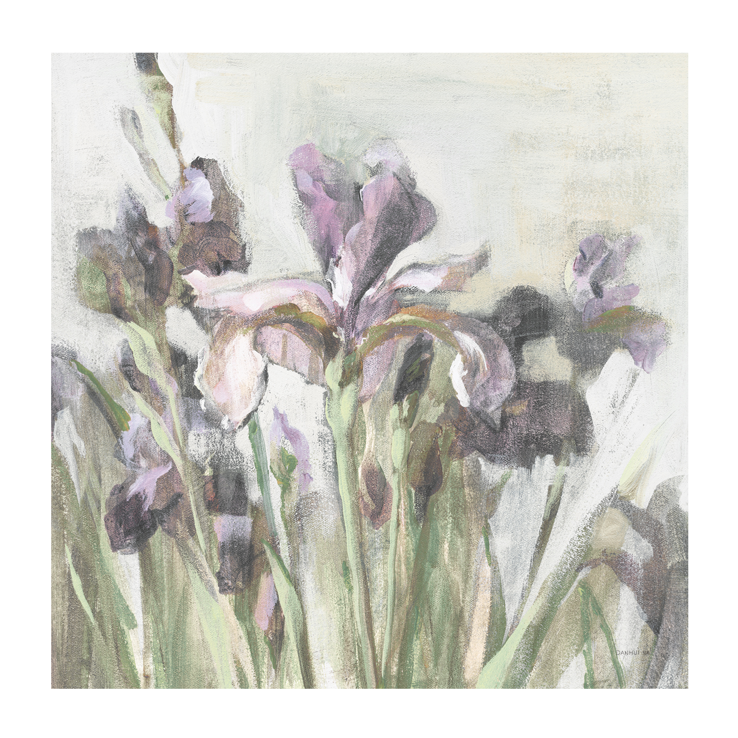 wall-art-print-canvas-poster-framed-Spring Iris , By Danhui Nai-1