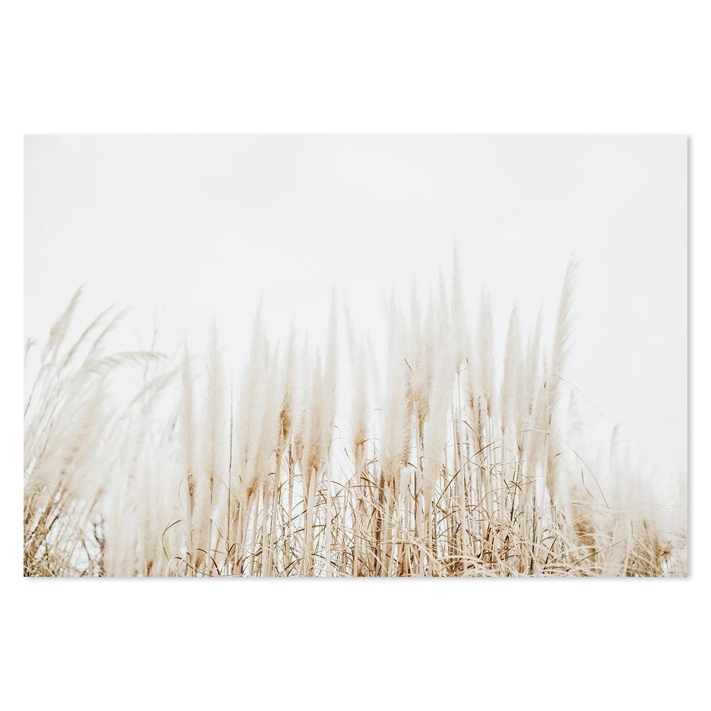 wall-art-print-canvas-poster-framed-Still Dried Stems-by-Gioia Wall Art-Gioia Wall Art