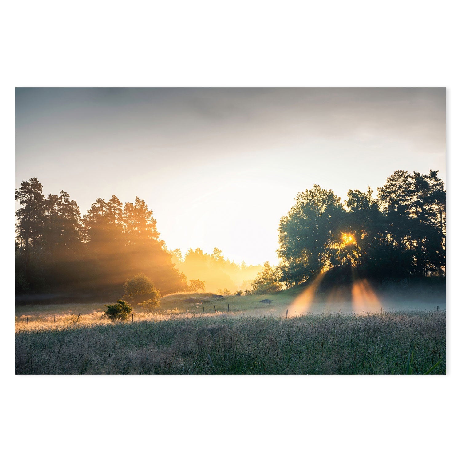 wall-art-print-canvas-poster-framed-Summer Field , By Christian Lindsten-GIOIA-WALL-ART